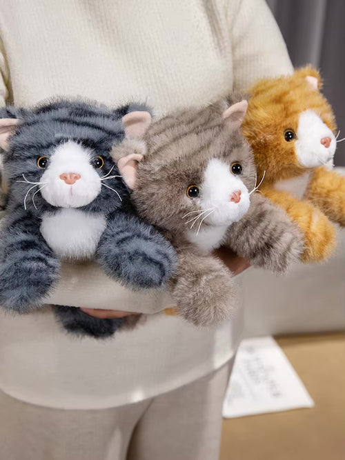 Kitties - Plush Toys